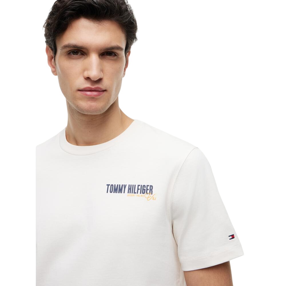 Tommy Hilfiger Summer Back Graphic Regular Tee